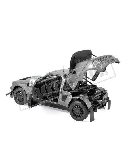 1:18 Peugeot 205 T16-Rallye Monte-Carlo 1986