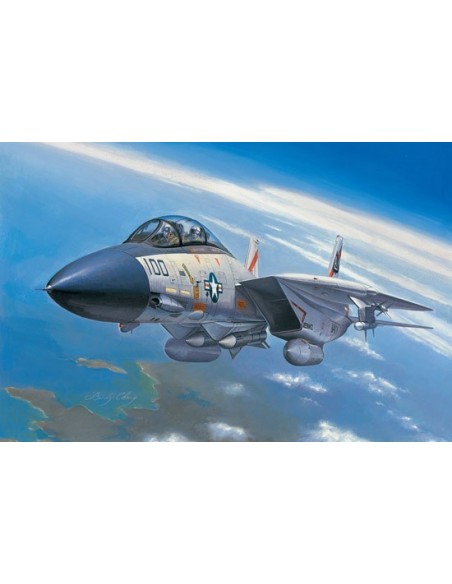 1:72 F-14A Tomcat