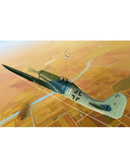 1:48 Focke-Wulf FW190D-11