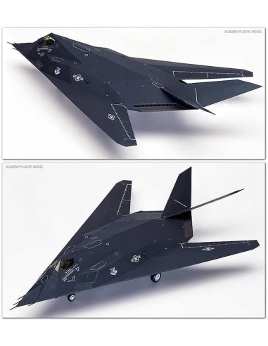 1:48 F-117A Stealth Fighter-2118