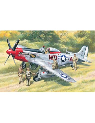 1:48 Mustang P-51D with USAAF Pilots and