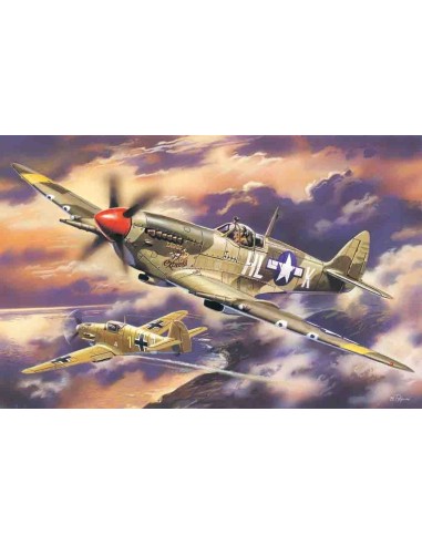 1:48 Spitfire Mk.VIII, WWII USAAF Fighter