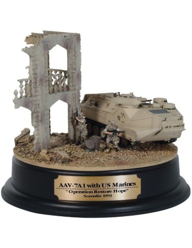 1:72 AAV-7 W/DIORAMA