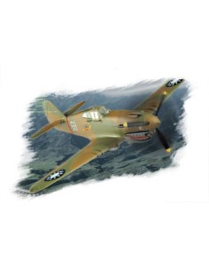 1:72 P-40B/C "HAWK"-81A