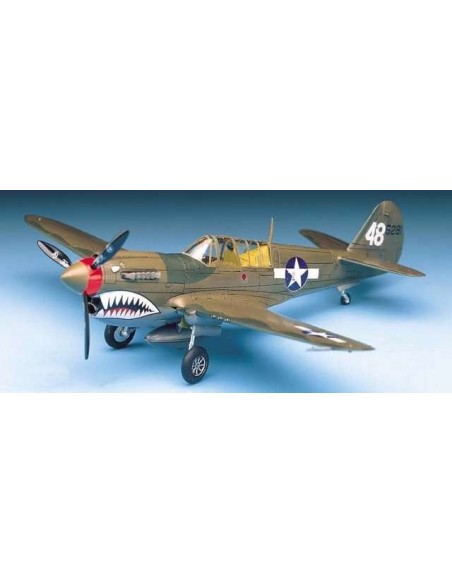 1:72 P-40M/N