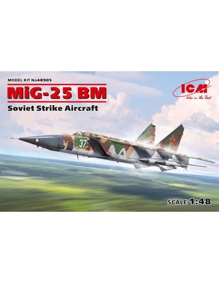 1:48 MiG-25 BM, Soviet Strike Aircraft