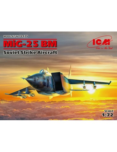 1:72 MiG-25 BM Soviet Strike Aircraft