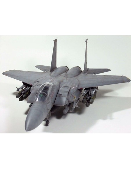1:48 F-15E "Seymour Johnson"