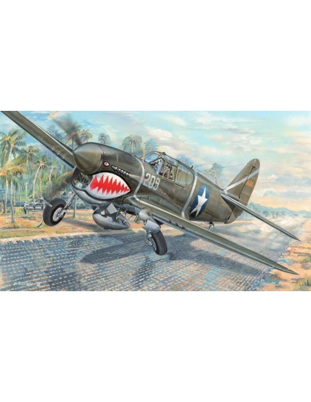 1:32 P-40F WAR