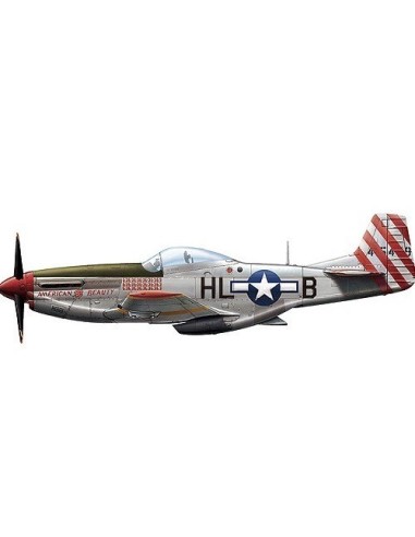 1:72 ROCA P-51D Mustang aircraft fighter 17th Sq.