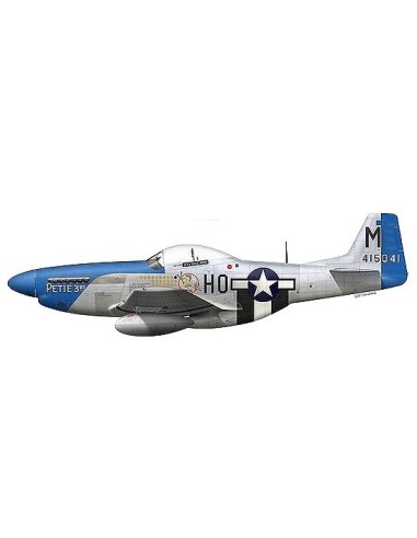 1:72 USAAF P-51D Mustang aircraft fighter Petie