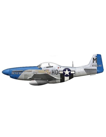 1:72 USAAF P-51D Mustang aircraft fighter Petie