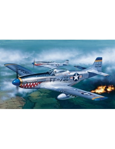 1:72 F-51D MUSTANG