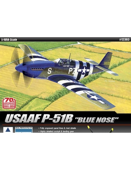 1:48 USAF P-51B "70th NORMANDY INVASION 1944"