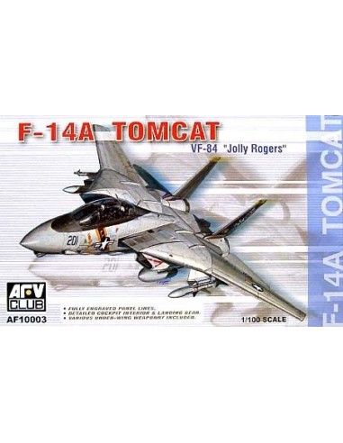 1:100 F-14A