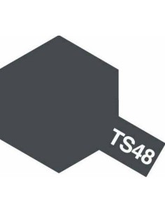 TS-48