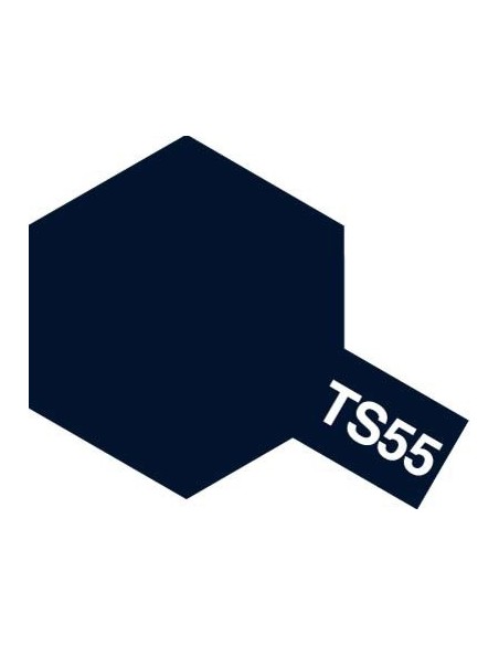 TS-55 Dark Blue x6