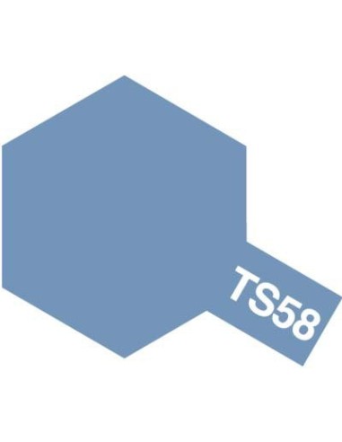 TS-58 Pearl Light Blue x6