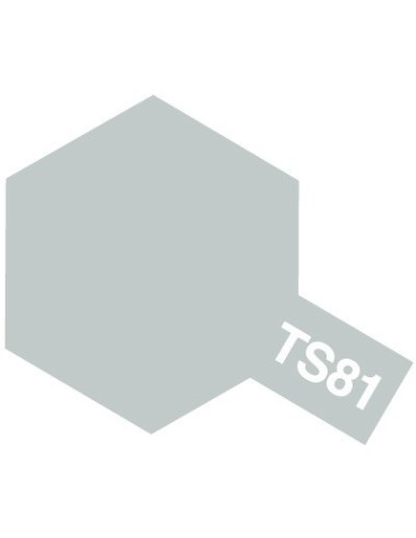 TS-81 Royal Light Gray x6