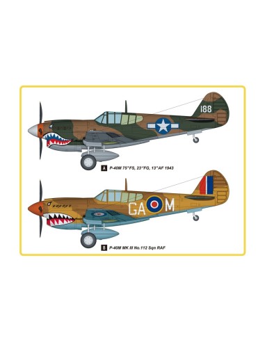 1:48 P-40M Kitty Hawk Fighter