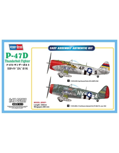 1:48 P-47D Thunderbolt Fighter