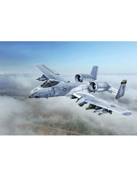 1:48 A-10C BLACKSNAKES