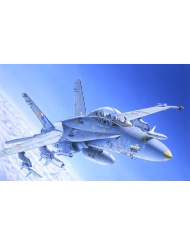 1:72 F/A-18C/D WILD WEASEL