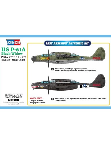 1:72 US P-61A Black Widow