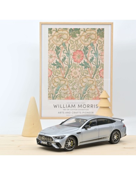 SO 1:18 MERCEDES AMG GT 63 4MATIC 2021 SILVER