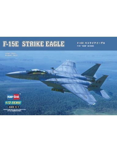 1:72 F-15E Strike Eagle Strike fighter