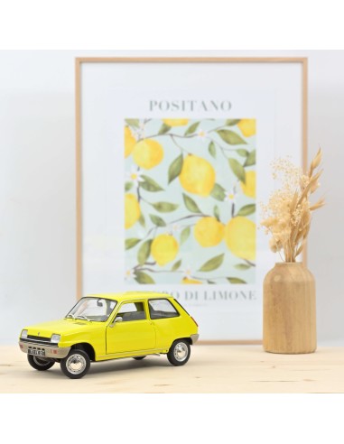 1:18 RENAULT 5 1974 YELLOW