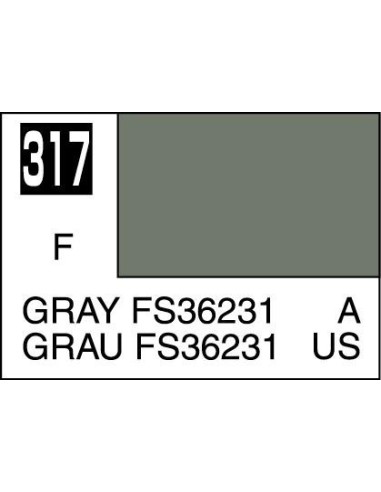 Mr. Color (10ml) Gray FS36231