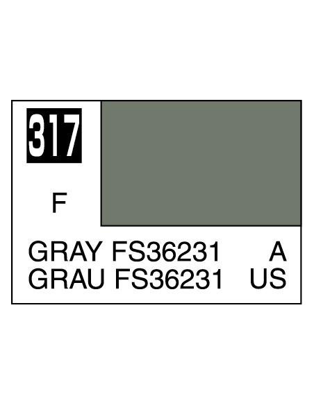 Mr. Color (10ml) Gray FS36231