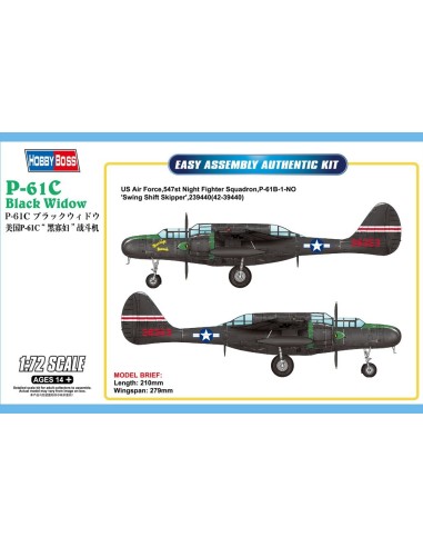 1:72 US P-61C Black Widow