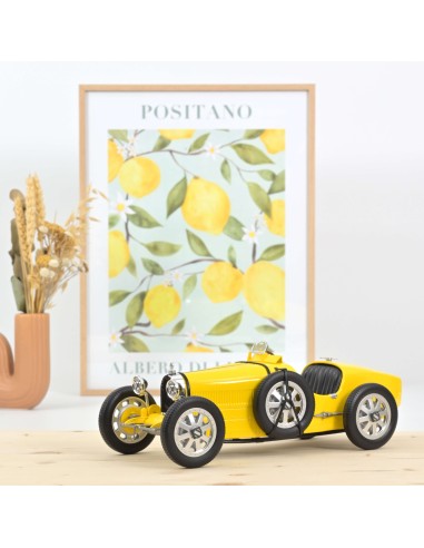 1:12 BUGATTI T35 1925 YELLOW