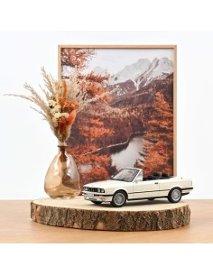 118 BMW  3-SERIES 325i E30 CABRIOLET 1991