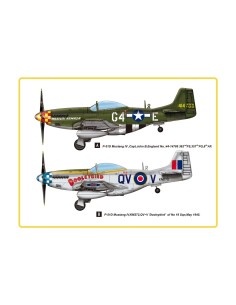 1:48 P-51D Mustang IV Fighter