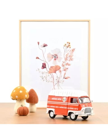 118 RENAULT ESTAFETTE 1968 ORANGE ASSISTANCE