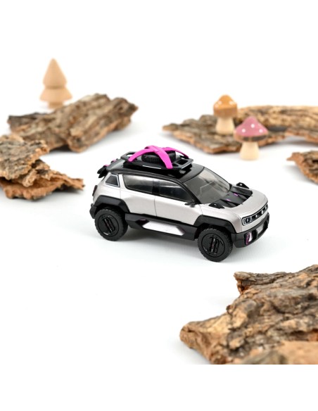 143 RENAULT CONCEPT 4EVER TROPHY