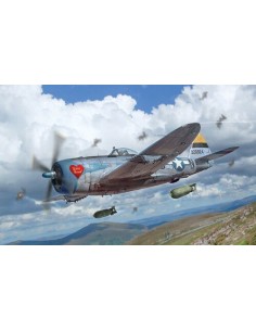 148 REPUBLIC P-47D THUNDERBOLT ETO